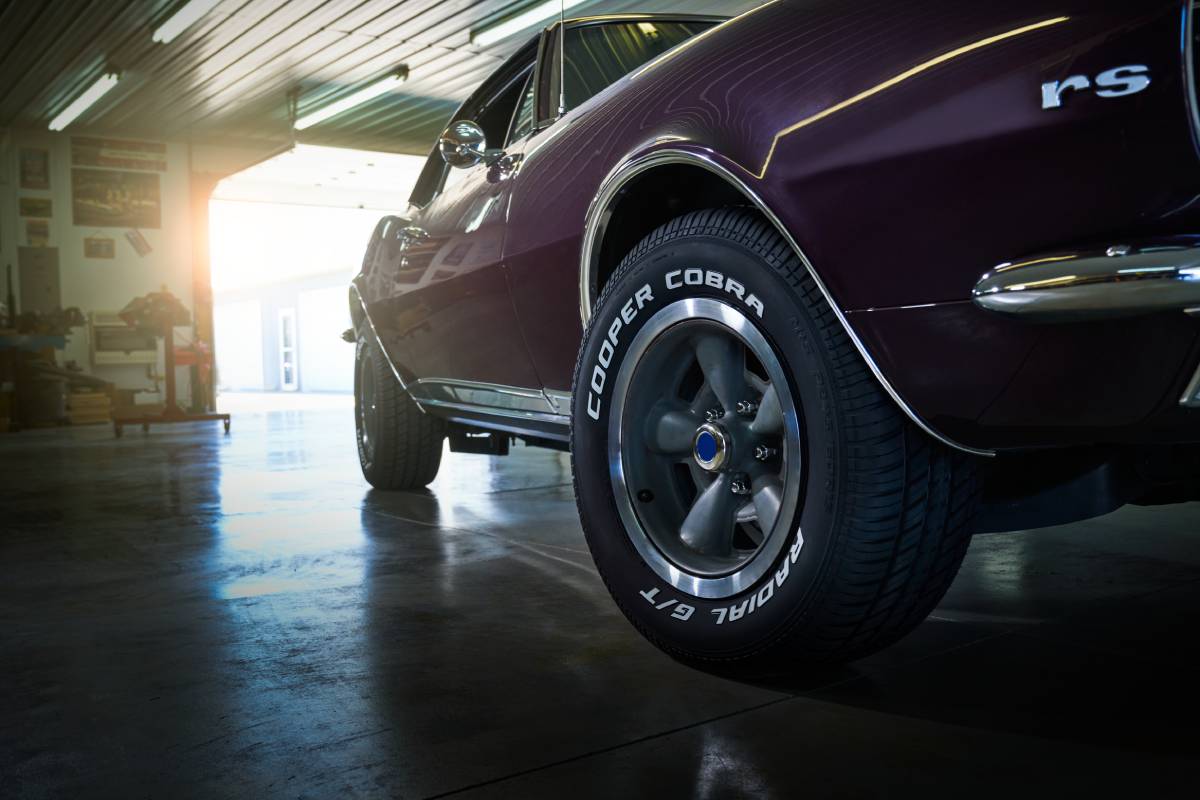 1766392171272613.jpg 2106FA04_CobraGT_Camaro-201.jpg